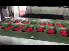 Bahan EVA Berkualitas Tinggi Pellet Granule Berwarna-warni pembuatan sepatu